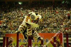 广西舞狮比赛